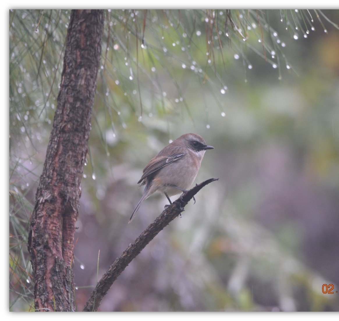 Lohit River valley in Arunachal Pradesh