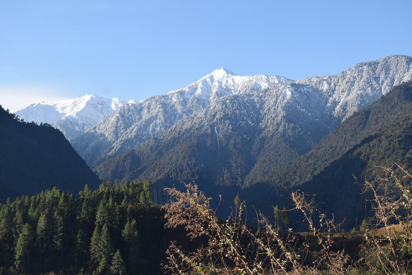 Landscape view